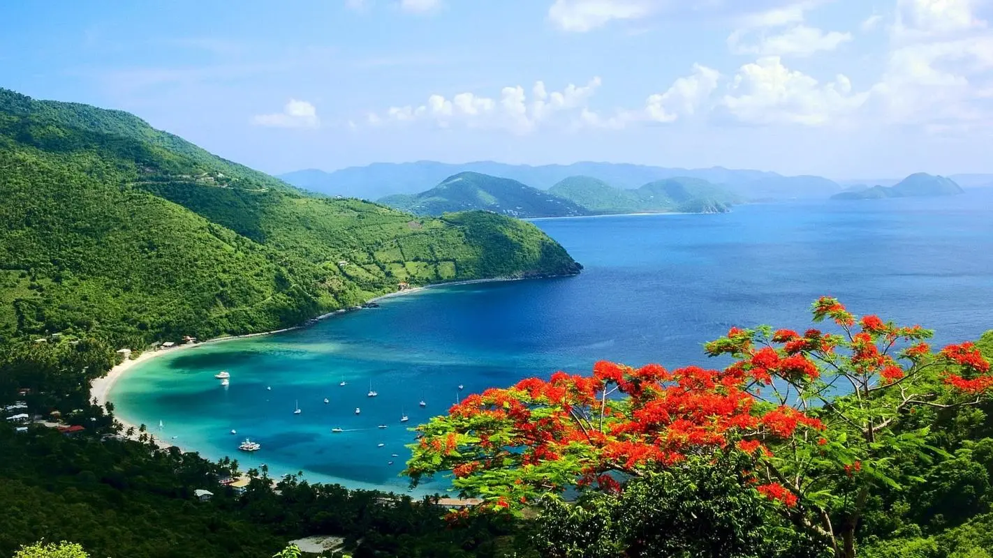 稳定性高质量高标准